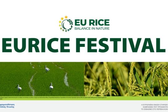 EURICE INVITATION